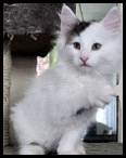 artagnan_aout15