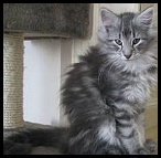 altariel_juin04
