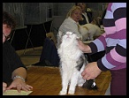 Expo_Bourg_25_26novem14