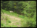 Mercantour10_11_12juin02