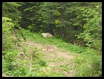 Mercantour10_11_12juin04