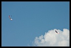 Guillaum_03