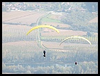 IMG_0317
