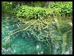 Plitvicka021