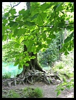 Plitvicka022
