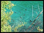 Plitvicka037