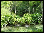Plitvicka043