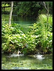 Plitvicka045
