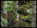 Plitvicka046