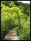 Plitvicka047