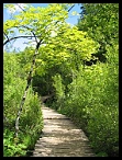 Plitvicka048