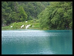 Plitvicka066