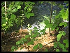 Plitvicka069