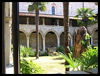 Pula029