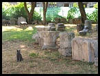 Pula051