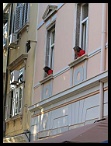 Pula057
